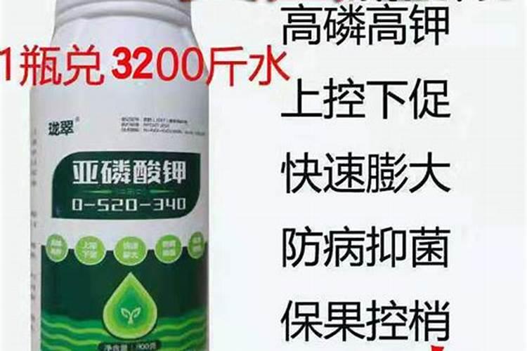 如何利用好冲施肥才能让马铃薯高产？