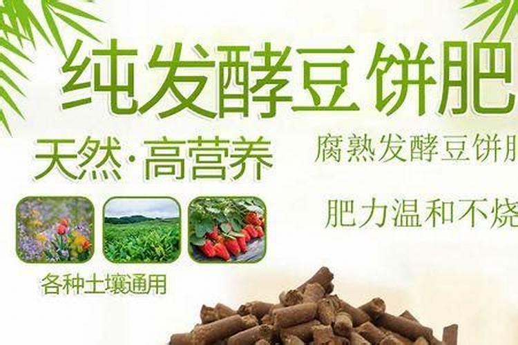 镁在葡萄树上的作用(镁肥在葡萄上什么时候用)