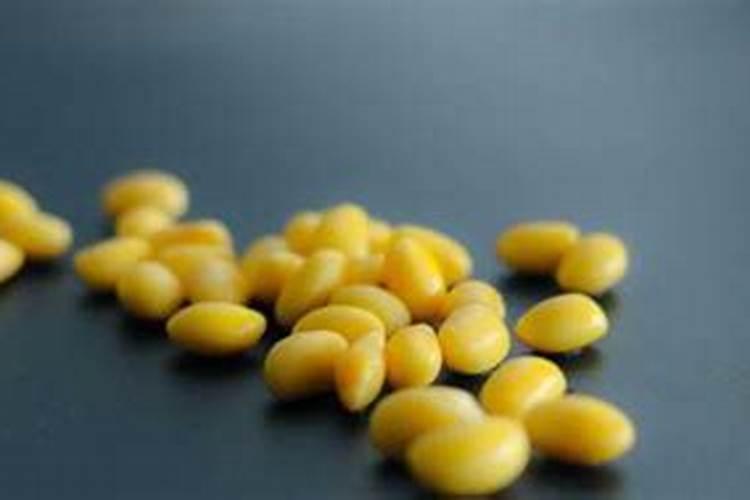 磷肥怎样使用才是正确
