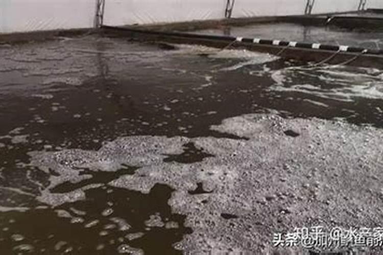 栽红薯用什么肥料最好