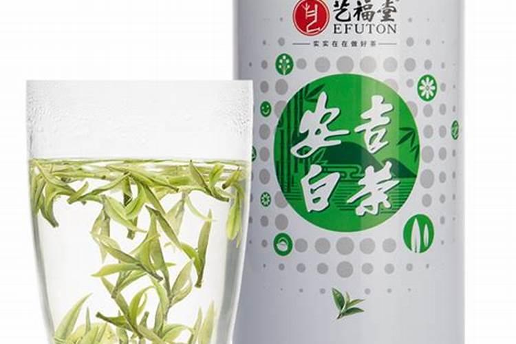 安吉白茶的种植技术
