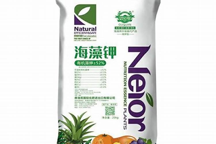青菜施什么肥最好