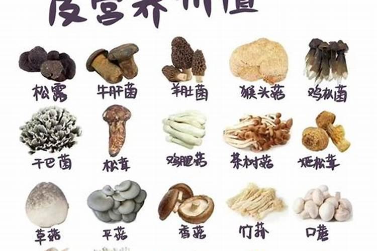 植物生根需要土壤干还是湿