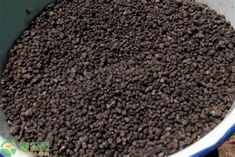 硼肥有哪些作用 硼肥的9大施用误区
