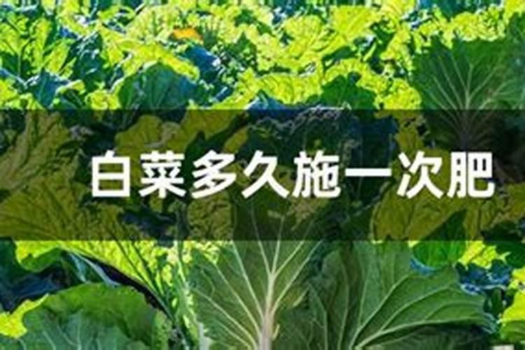 黄腐酸钾和腐殖酸钾是一个东西么
