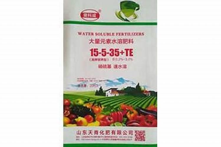盆栽柚子树怎么养？麻烦详细说一下。