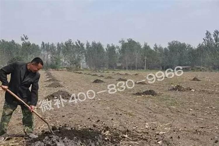 为使土壤呈酸性,使用氮肥、钾肥时,应从草木灰、氯化钾、硫酸铵、硝酸...