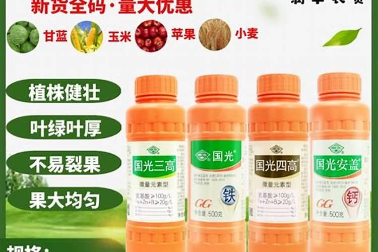 高粱种植时间和方法
