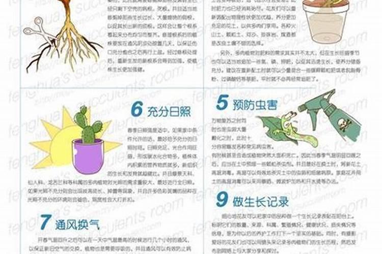 国内氨基酸水溶肥生产厂家有哪些？
