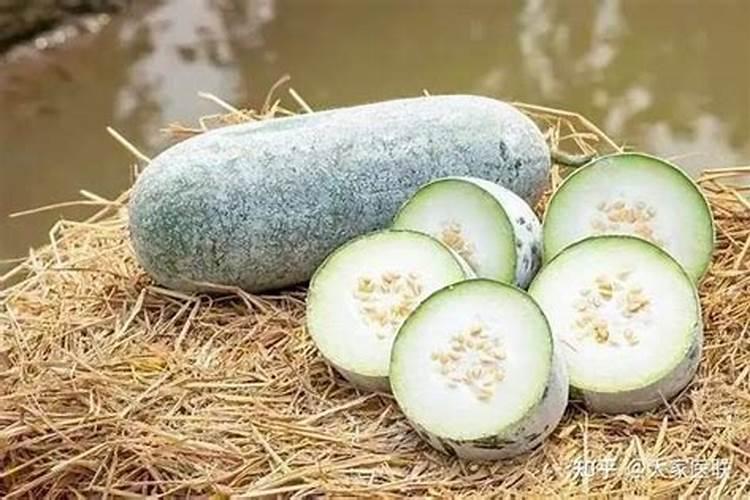 为什么种在太阳能灯下的豆及瓜之类的植物结不了果实呢？