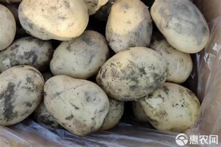 水溶肥价格多少钱一吨 如何选购优质的水溶肥料