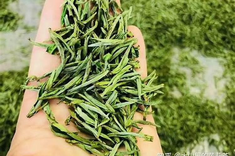 鱼肠肥和粪肥哪个有机