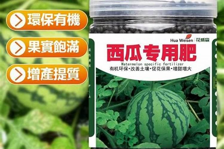 西瓜如何施肥技术