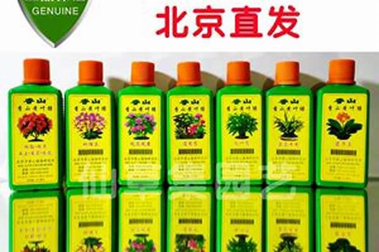 香山黄叶绿肥料怎么样