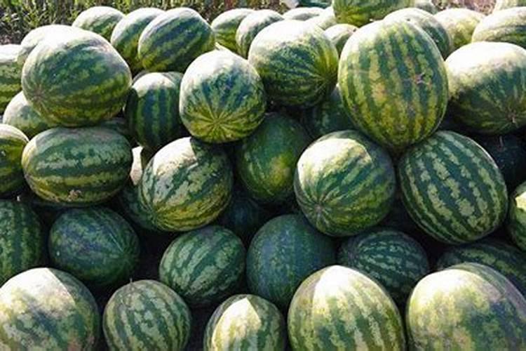 种百香果能用草木灰做肥料吗 有什么好处
