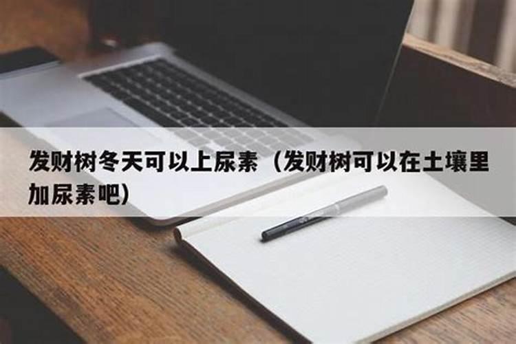 冬季油菜要追肥吗？具体在什么时间追肥呢？