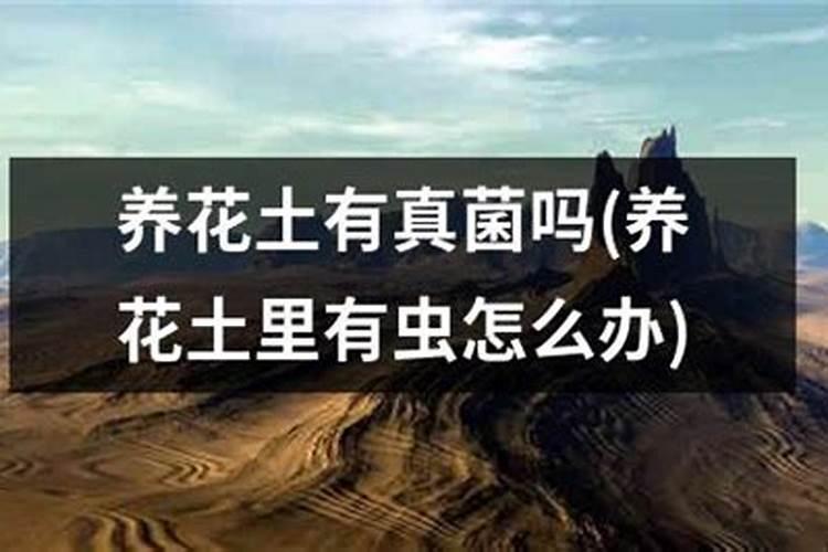 钾肥在土壤中流失吗