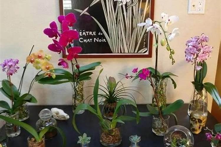 苹果树花坐果时可以打药吗？