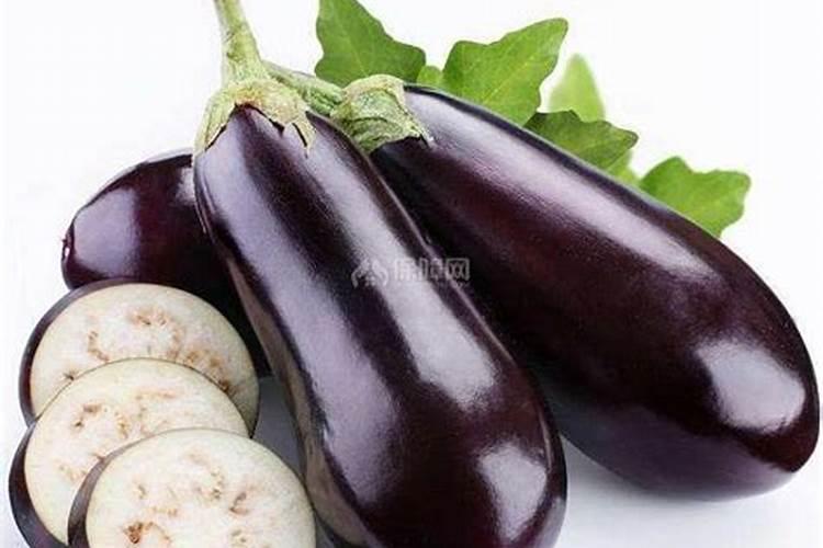 西红柿追肥用什么肥料