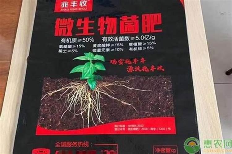 用什么肥好 绿萝施肥方法