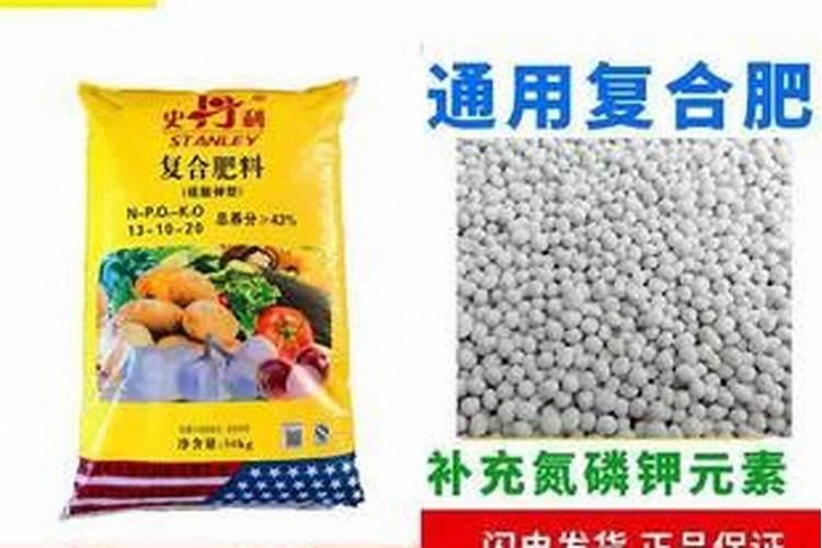 不要肉也不要豆制品,在饭店点什么菜？