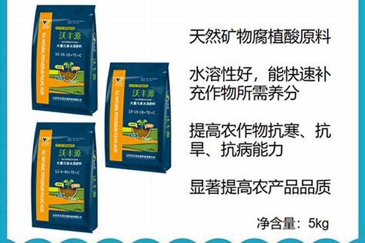 ...四季豆和西红柿,请问如果长虫子了用什么杀虫剂