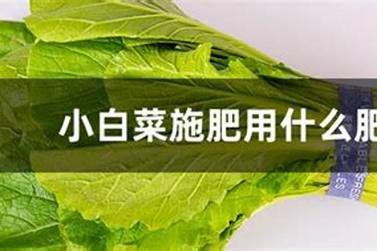 小雨可以撒施冲施肥吗？