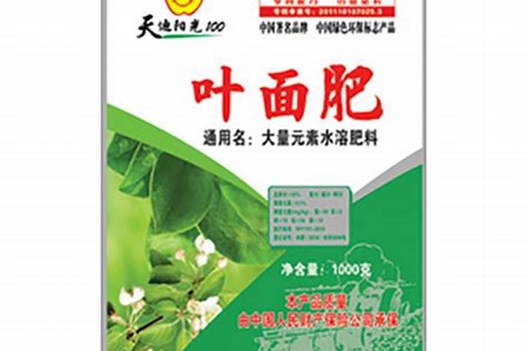 黄瓜移栽后怎么浇水