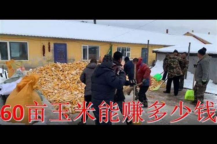 一亩玉米地该施多少肥料？
