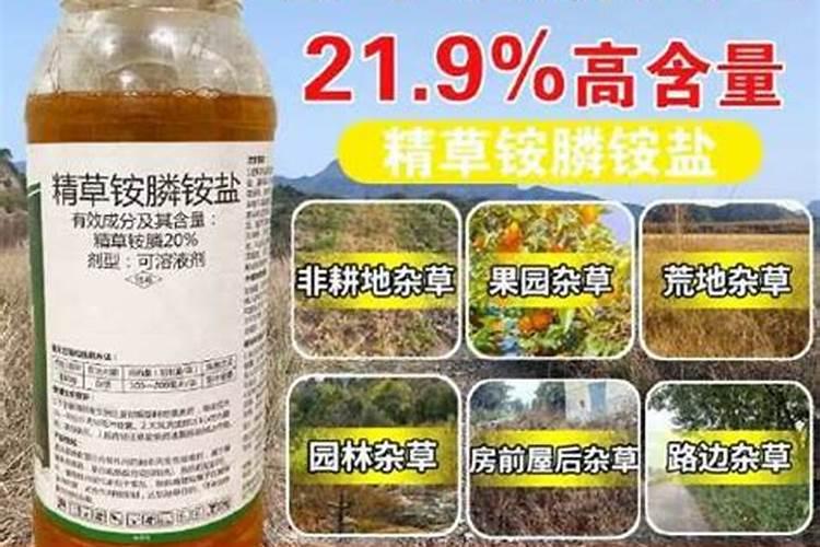 打完叶面肥后多久可以用除草剂