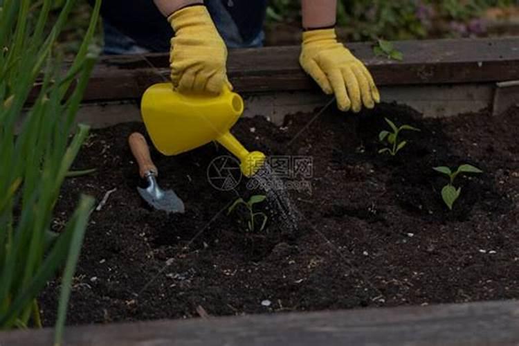 如果所有农民都不用化肥、农药种植农作物,会怎么样？