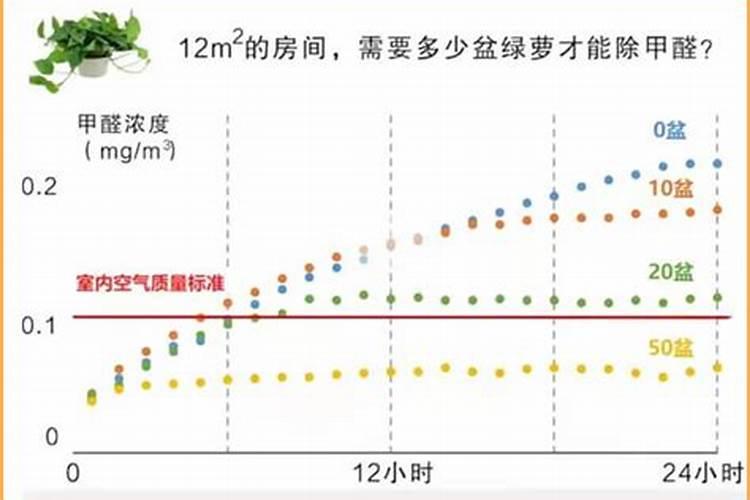 月季花怎么使用复合肥