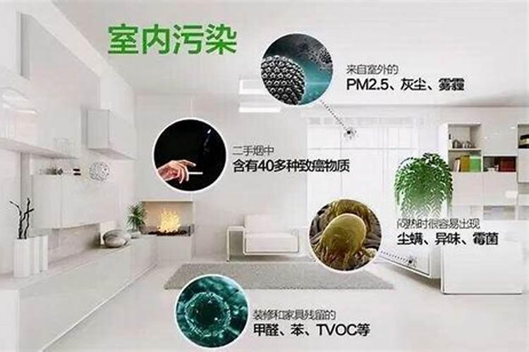 “甲醛克星”有哪些？