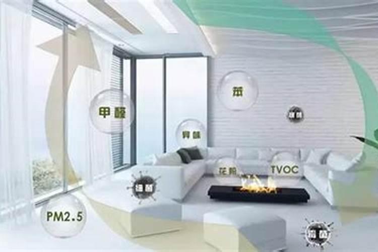 吸收甲醛什么绿植最好