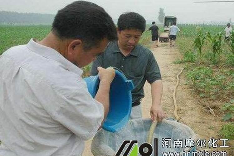 生物能干什么,具有什么