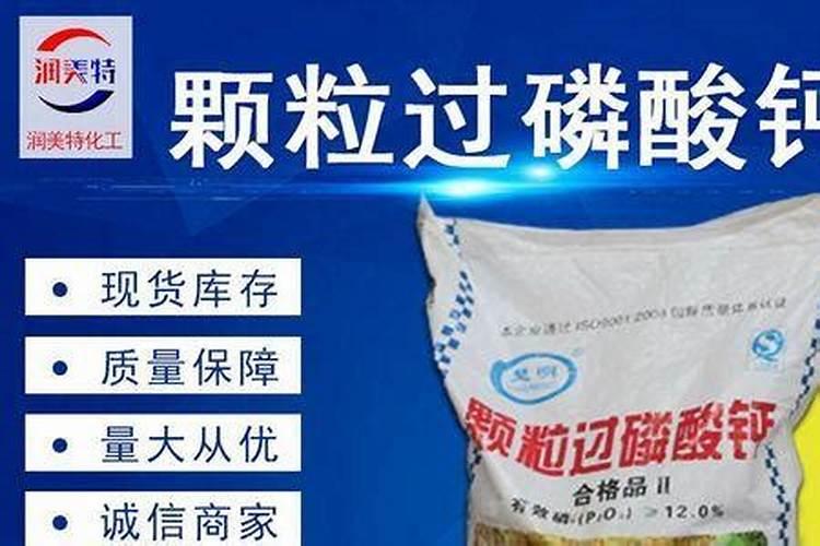 草莓种植的技术？