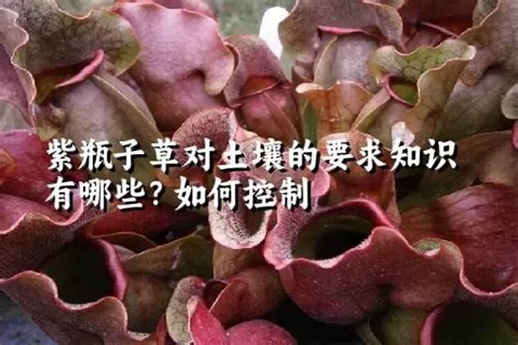 抑霉唑对哪些霉菌具有活性？