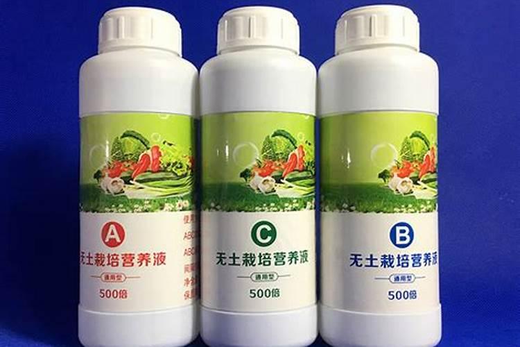 种青菜如何正确施肥