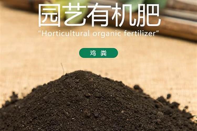 海棠开花的时候要多浇水吗