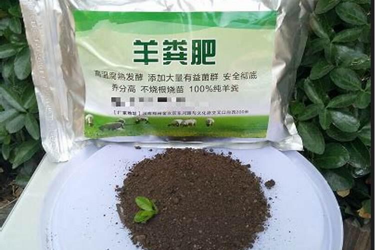 有机氮肥有哪些