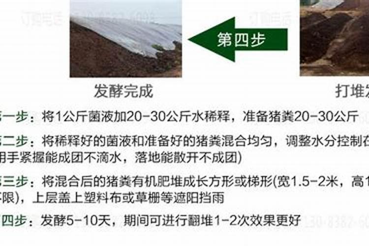 有机肥羊粪和鸡粪哪个好