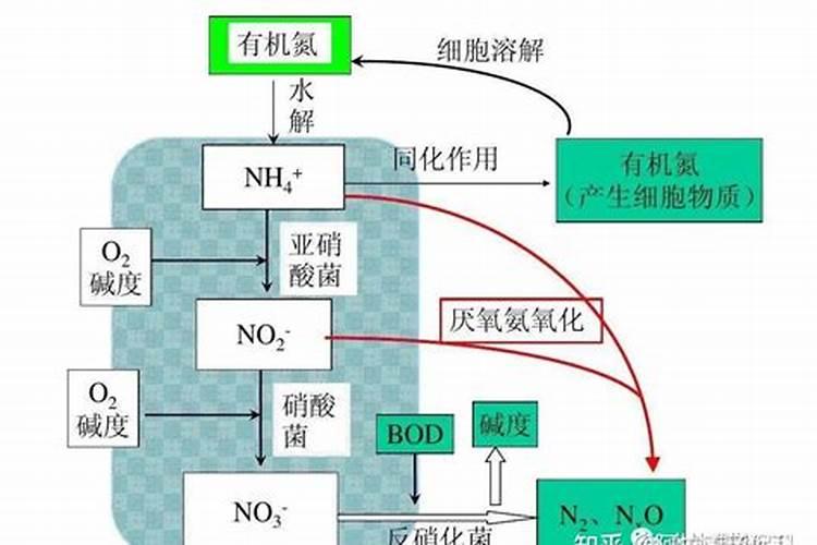 氮肥注意事项