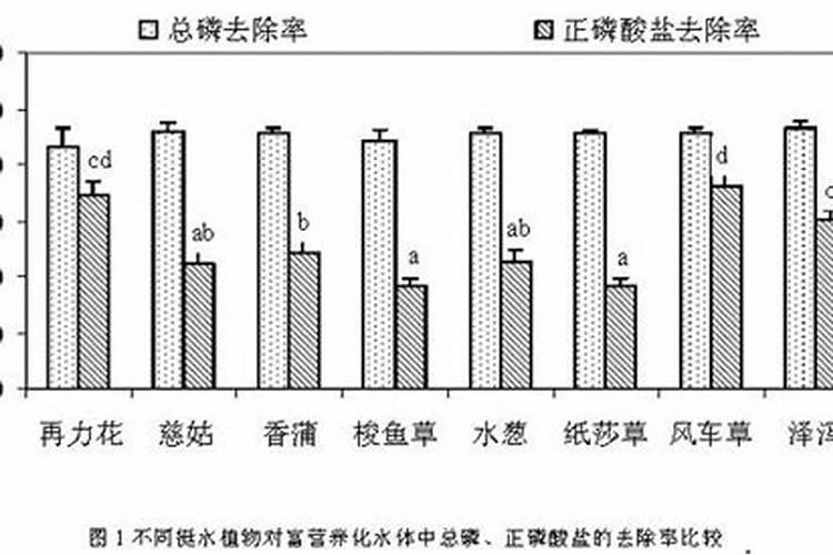 水稻氮肥过多该怎么办