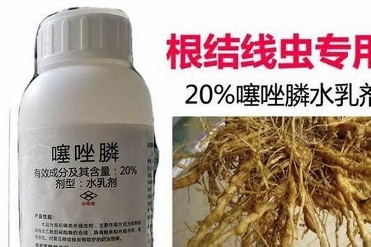秸秆到底能不能还田？所谓的还田是什么意思？
