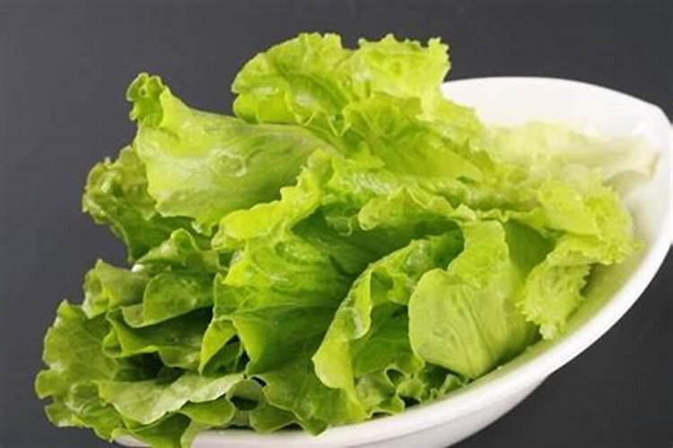 种植生菜时,有必要勤浇水吗？