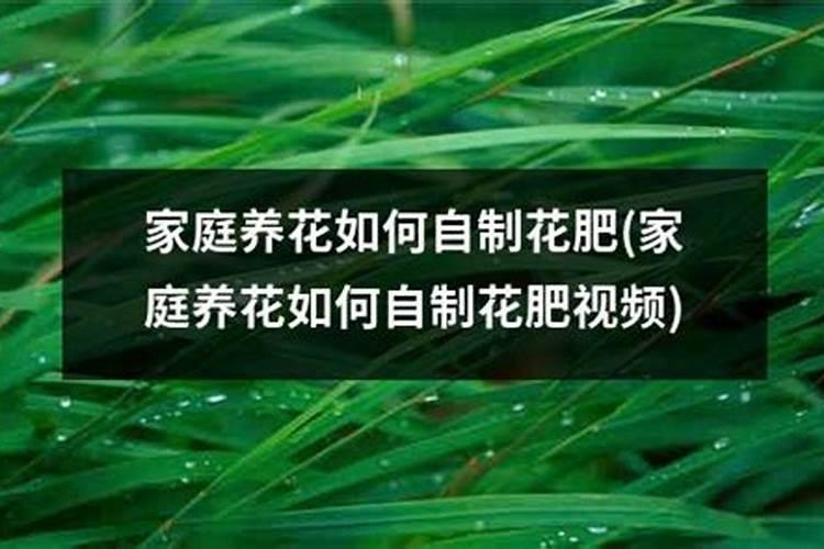 九轮塔怎么施肥？九轮塔正确的施肥方法都在这里!