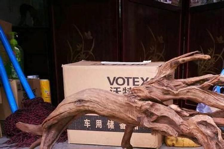 沉木是在哪找到的呀？