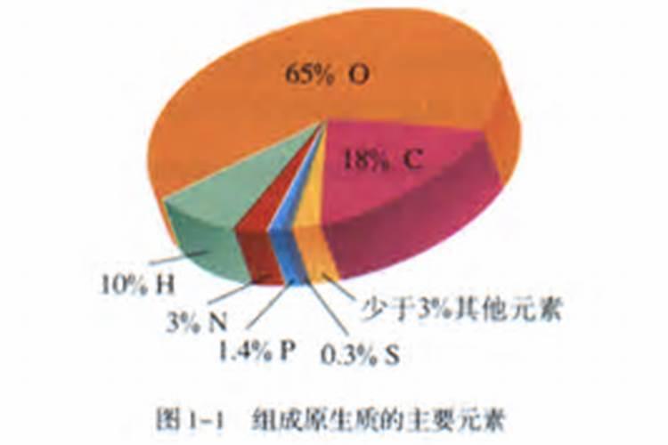 大量元素有哪些