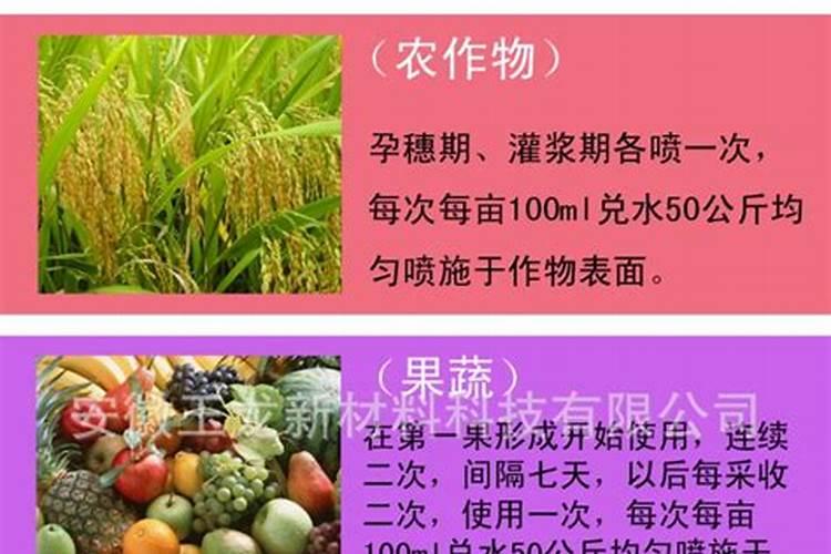 安徽硒无忧现代农业科技有限公司怎么样？
