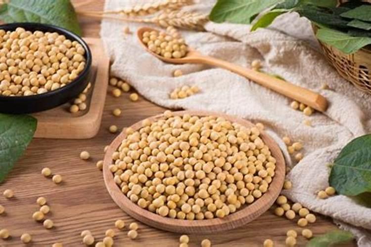 种植农作物的时候使用腐熟的黄豆粉做肥料,有什么好处？